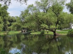 -上海共青森林公园