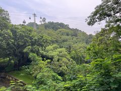 -广州市白云山风景名胜区