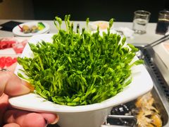 -海底捞火锅(海宁路店)