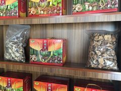 -蘑统田下·野生菌火锅