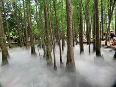 -东湖落雁景区