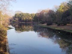 -上海海湾国家森林公园