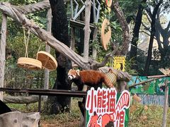 -广州动物园
