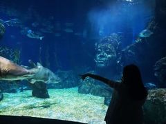 -暹罗海洋世界