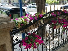 -南山鲜虾面·活鲜小馆·海味大连菜(南山总店)