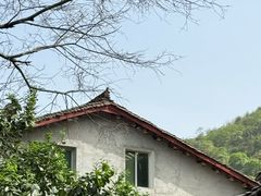 -青林口古镇