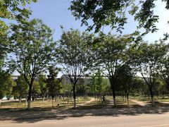 -西安外国语大学-学生食堂(栾树大道店)