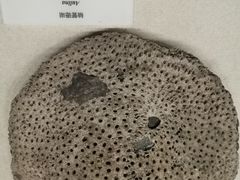 -贵州省地质博物馆