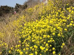 -海驴岛(荣成市)