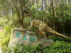 -森波拉奇妙世界