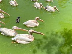 -云南野生动物园