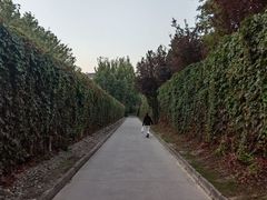 -春晖园度假酒店温泉