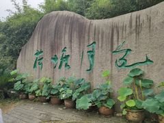 -荷塘月色湿地公园·向阳花洲
