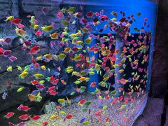 -威海华夏城景区