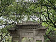 -灵岩山风景区