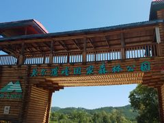 -莫尔道嘎国家森林公园