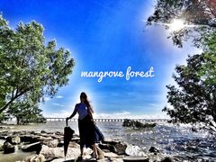 -宝安西湾红树林湿地公园