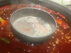 -重庆渝达老火锅(春熙路店)