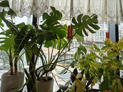 -懒人盐府人家(航天桥店)