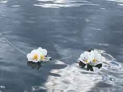 -丽江泸沽湖景区