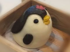 -帝企鹅自助餐厅•儿童岛•真企鹅(长隆企鹅酒店)