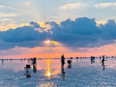 -南汇新城海滩