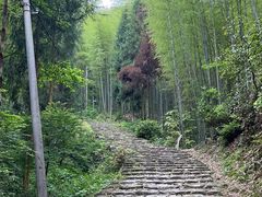 -仙霞关景区