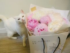 -花生FM_FLOWERS