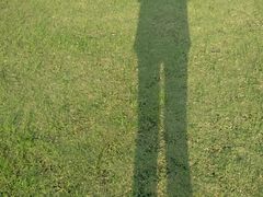 -瑶湖郊野森林公园