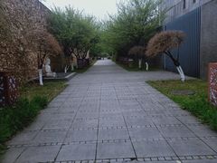 -国际非物质文化遗产博览园