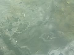 -太湖湖滨国家湿地公园-停车场