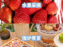 -三圣花乡旅游区