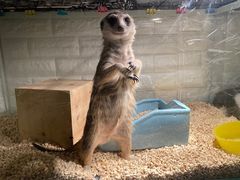 -平行世界·猫咖(首经贸店)