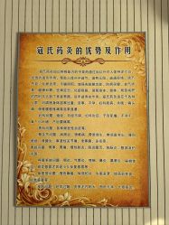 -寇氏减肥