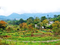 -塔川景区