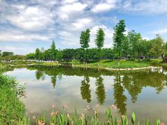 -广州国际生物岛