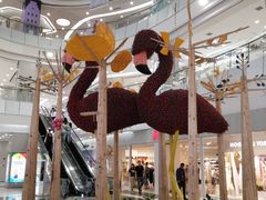 -凯德广场(学府店)