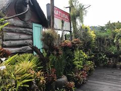 -自然餐厅(Phuket)