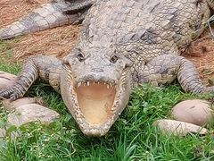-昆明动物园
