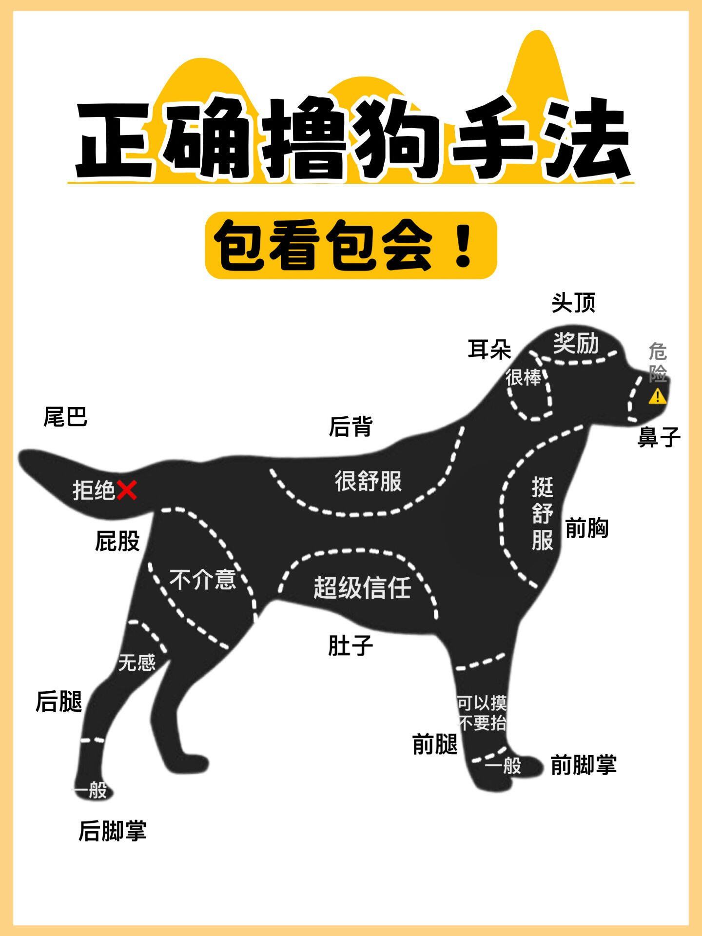 一张图带你轻松撸狗