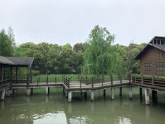 -溱湖国家湿地公园