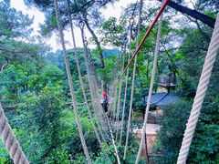 -芦仙山景区-飞越丛林探险乐园
