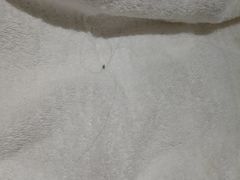 -汤印温泉假日酒店