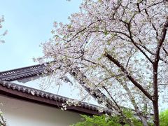 -范蠡湖公园
