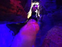 -梦幻奥陶纪景区