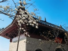 -云龙山