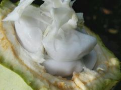 -三亚凤凰水城凯莱度假酒店