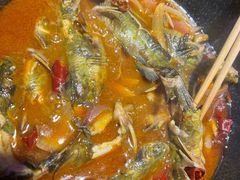 黄辣丁鲜鱼锅-小小河边鱼(天润城店)