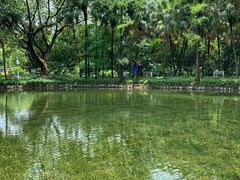 -晓港公园