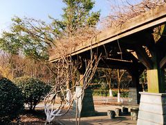 -白塘生态植物园